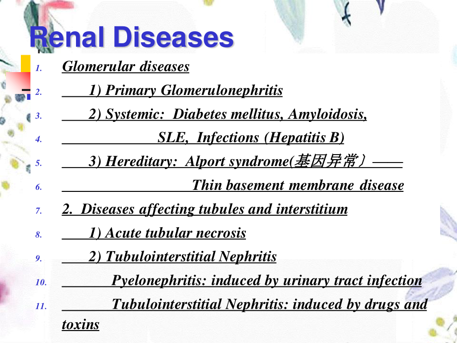 2023年B学生全部泌尿（教学课件）.ppt_第3页