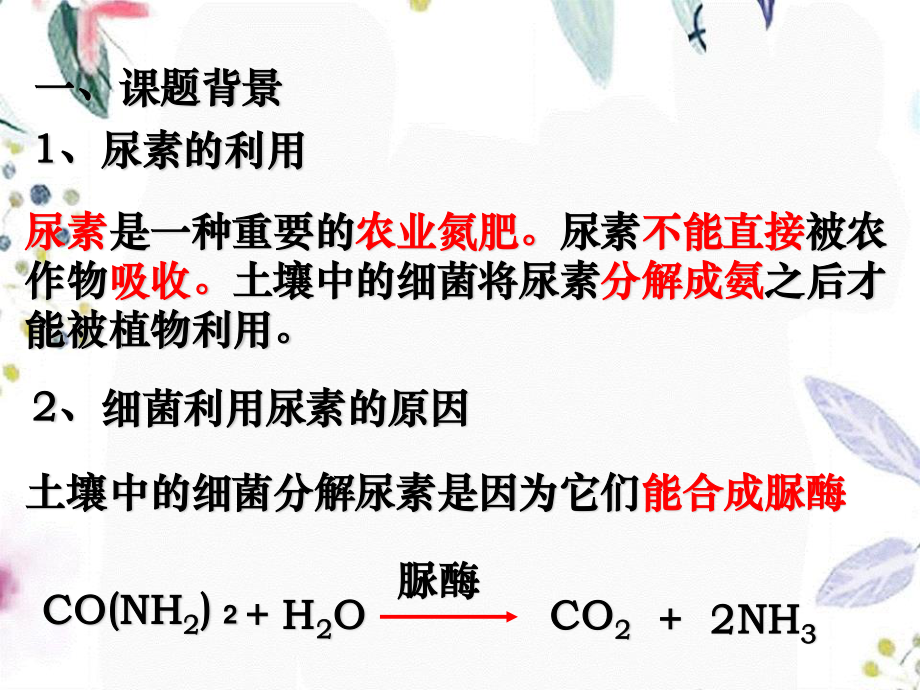 2023年《土壤中分解尿素的细菌的分离与计数》新人教版选修（教学课件）.ppt_第2页