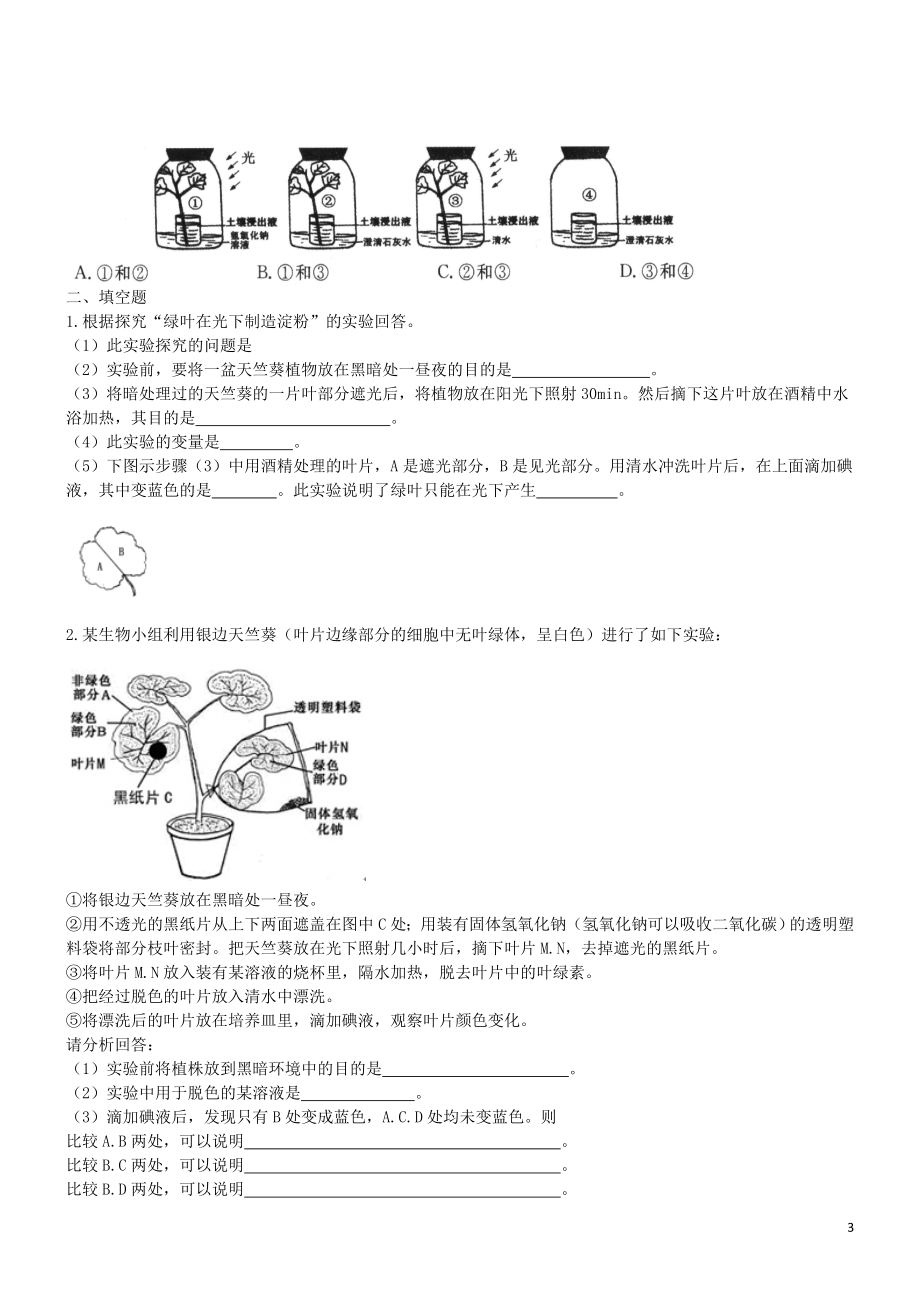 2023学年七年级生物上册第3单元生物圈中的绿色植物第6章绿色植物的光合作用和呼吸作用6.3植物光合作用的实质同步练习含解析苏教版.doc_第3页