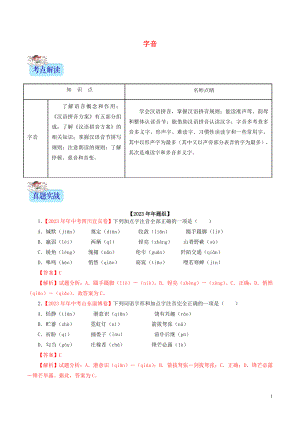 2023学年中考语文专题01字音含解析.doc