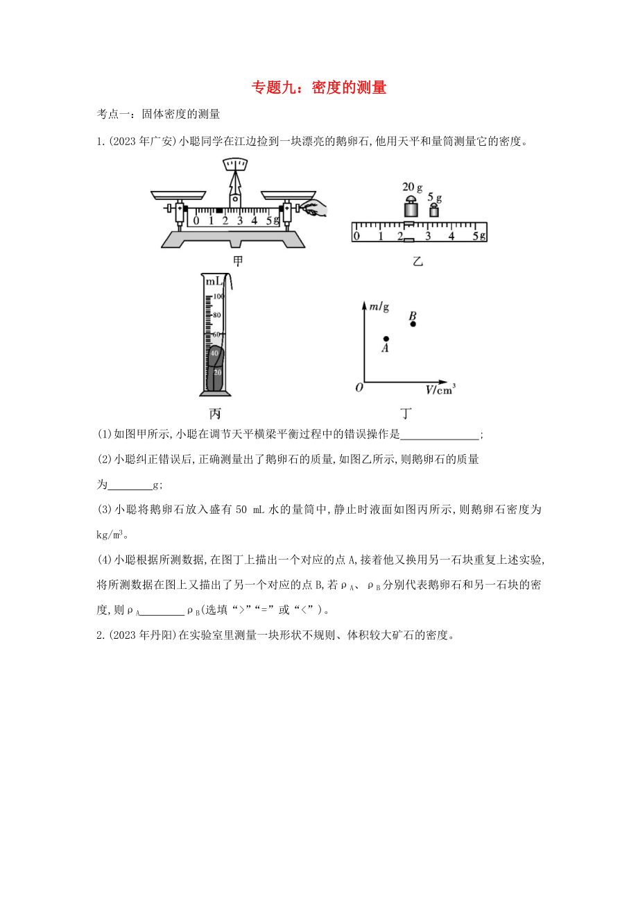 2023学年中考物理重点知识强化训练专题九密度的测量试题.doc_第1页