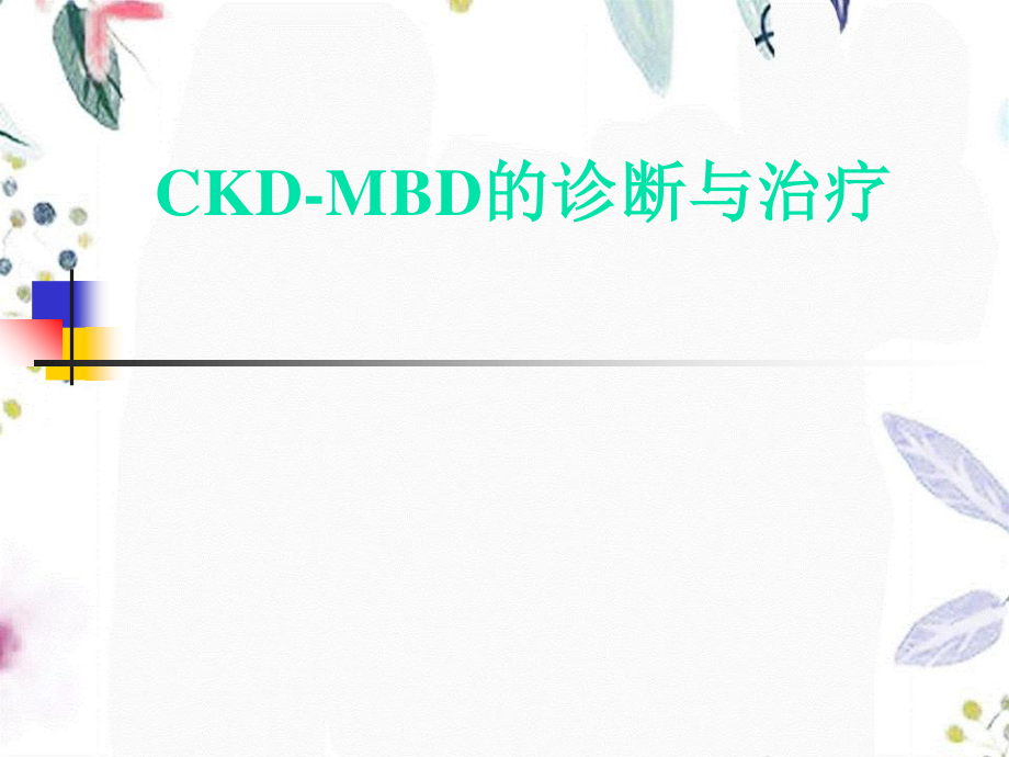 2023年CKDMBD肾性骨病（教学课件）.ppt_第1页