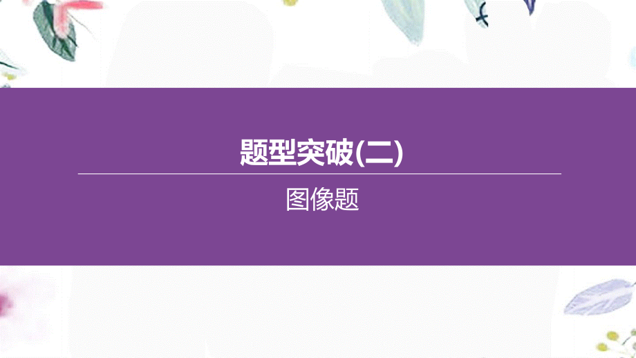 福建专版2023学年中考化学复习方案题型突破02图像题课件2.pptx_第1页