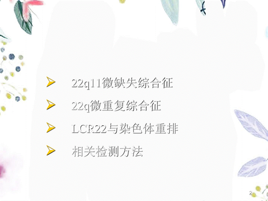 2023年q微缺失和微重复综合征（教学课件）.ppt_第2页