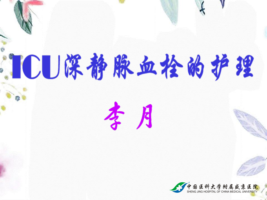 2023年ICU深静脉血栓的护理（教学课件）.ppt_第1页