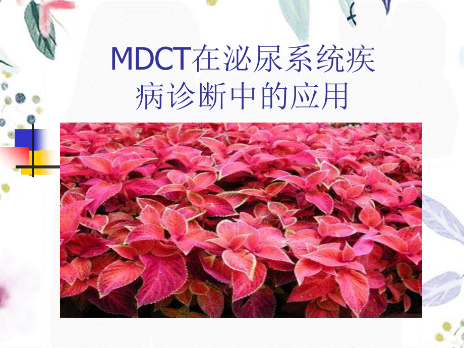 2023年MSCT在泌尿疾病诊断应用（教学课件）.ppt_第1页