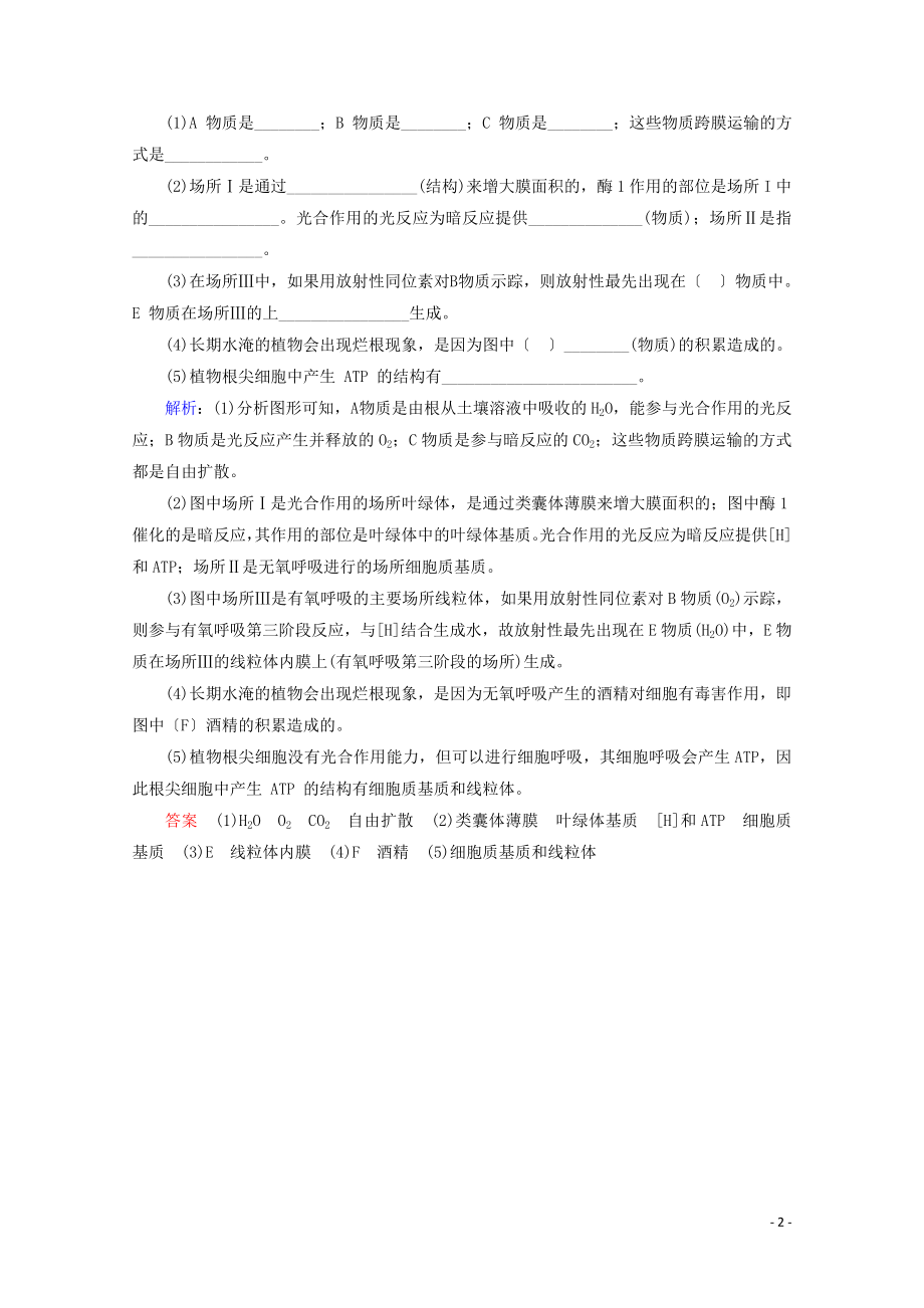 2023学年高考生物一轮复习第三单元细胞的能量供应与利复习提升课4光合作与细胞呼吸的综合应1演练含解析.doc_第2页