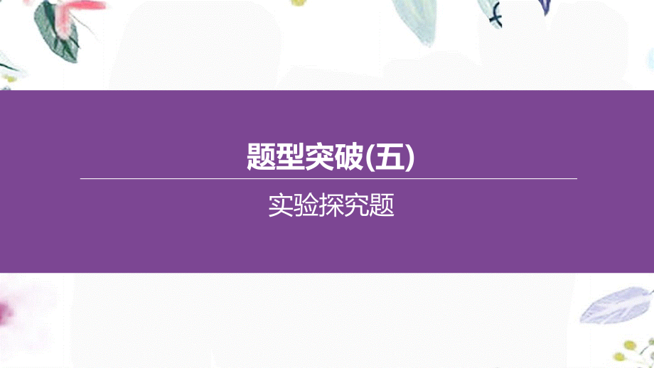 福建专版2023学年中考化学复习方案题型突破05实验探究题课件2.pptx_第1页