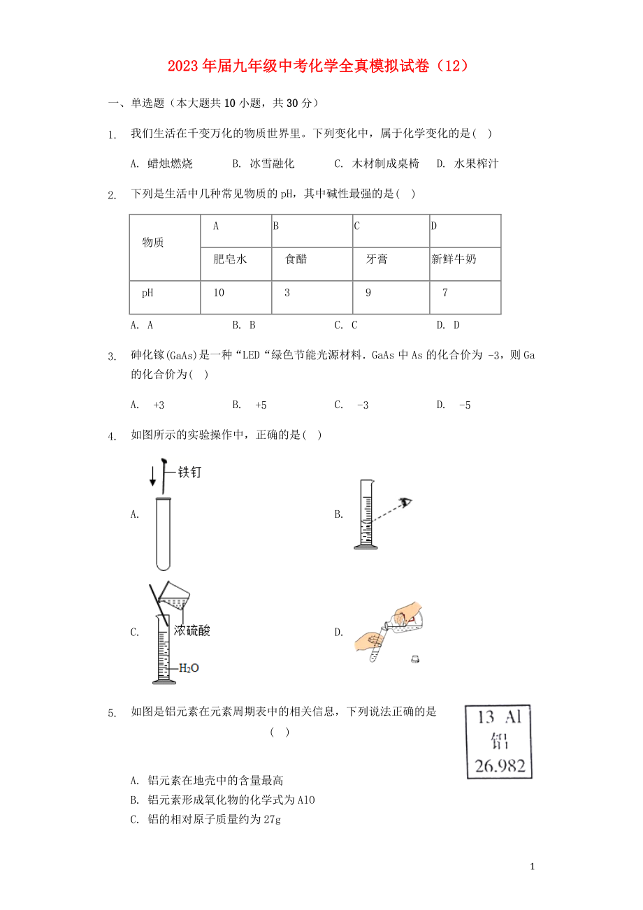 2023学年九年级化学全真模拟试卷12含解析.docx_第1页