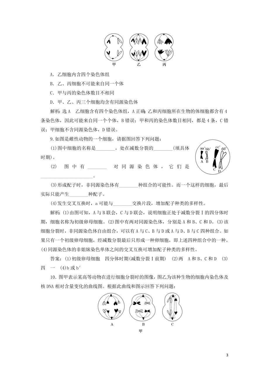 2023学年新教材高中生物课时双测过关五减数分裂（人教版）必修2.doc_第3页