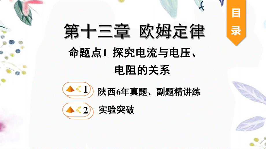 陕西省2023学年年中考物理一轮复习基醇点一遍过第十四章欧姆定律命题点1探究电流与电压电阻的关系课件2.pptx_第1页