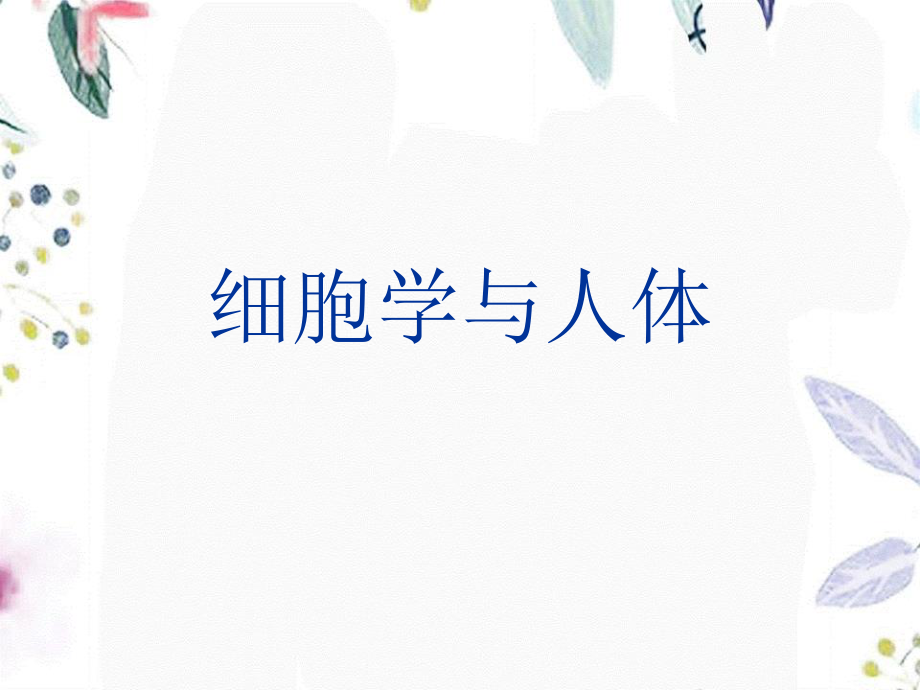 2023年E细胞学与人体组织（教学课件）.ppt_第1页