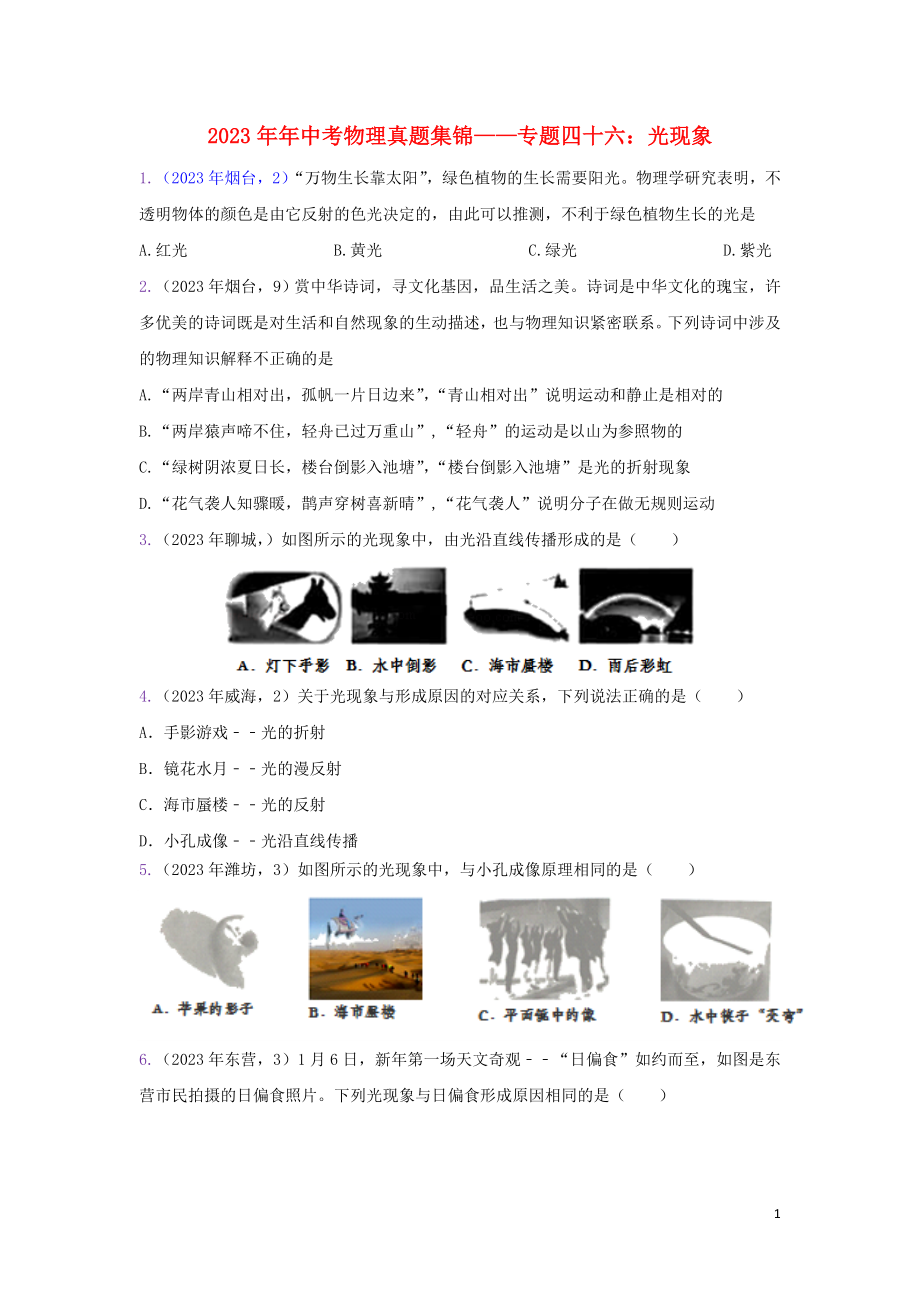 2023学年中考物理真题集锦五专题四十六光现象试题.doc_第1页