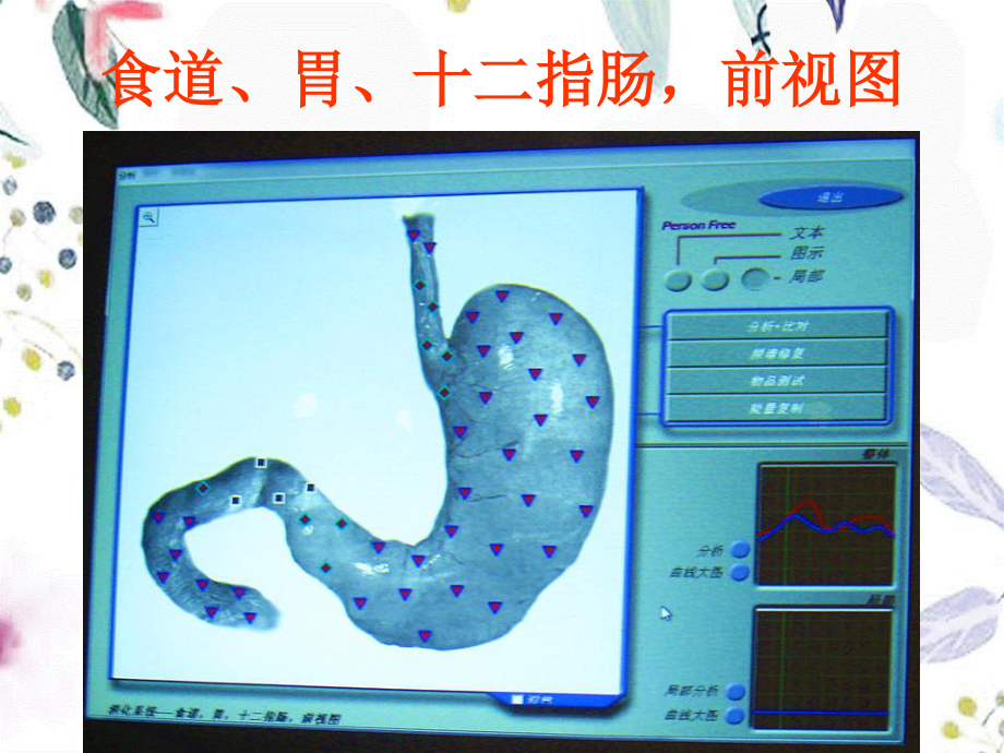 2023年D检测消化系统（教学课件）.ppt_第3页