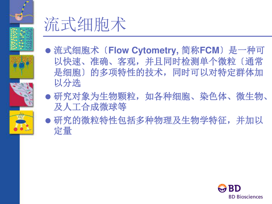 2023年BD流式全面介绍（教学课件）.ppt_第2页