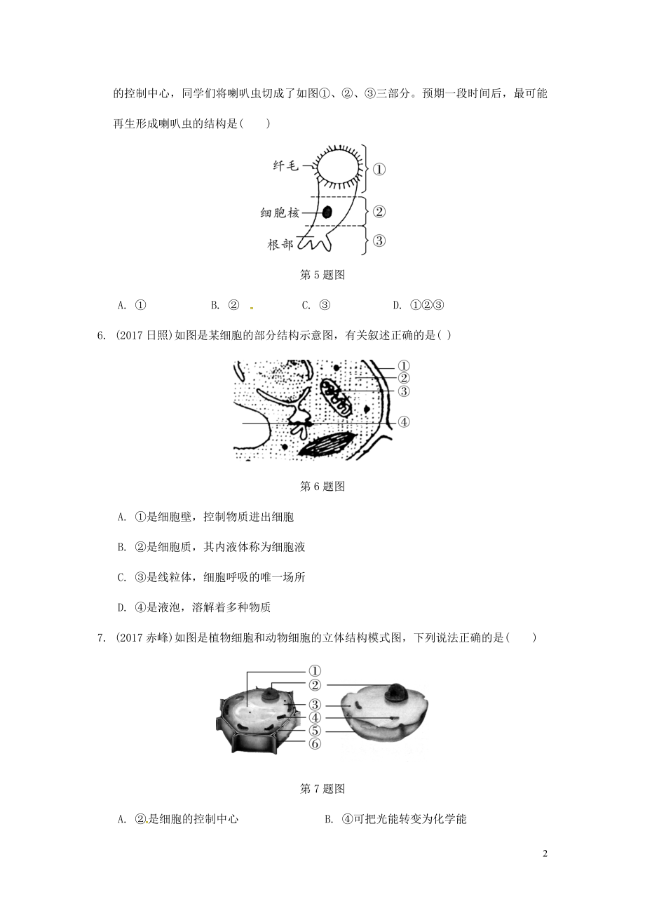 2023学年中考生物重难点突破动植物细胞和微生物的结构练习含解析.doc_第2页