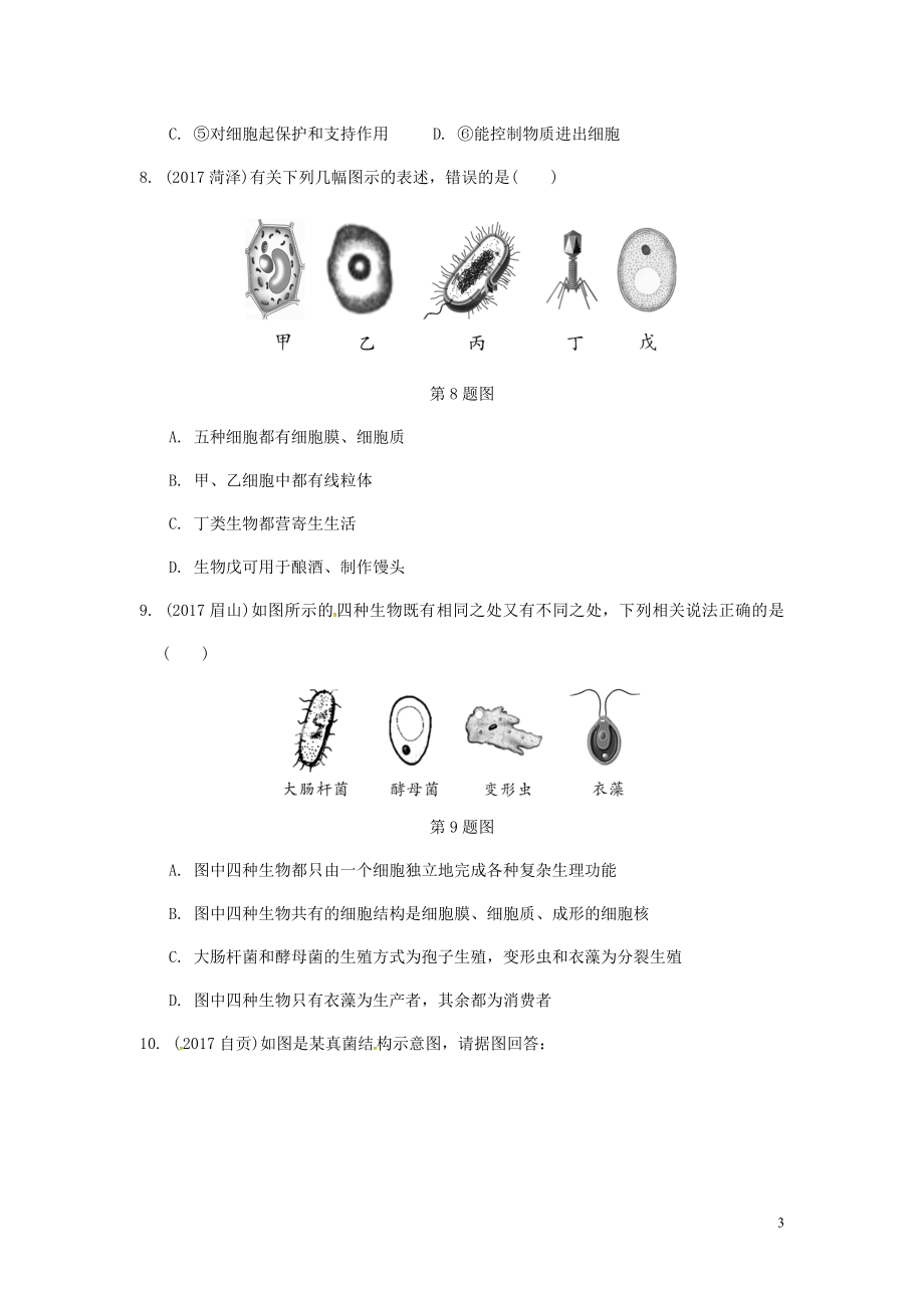 2023学年中考生物重难点突破动植物细胞和微生物的结构练习含解析.doc_第3页