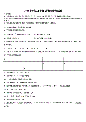 2023学年陕西省西北工业大学附属中学化学高二第二学期期末经典模拟试题（含解析）.doc