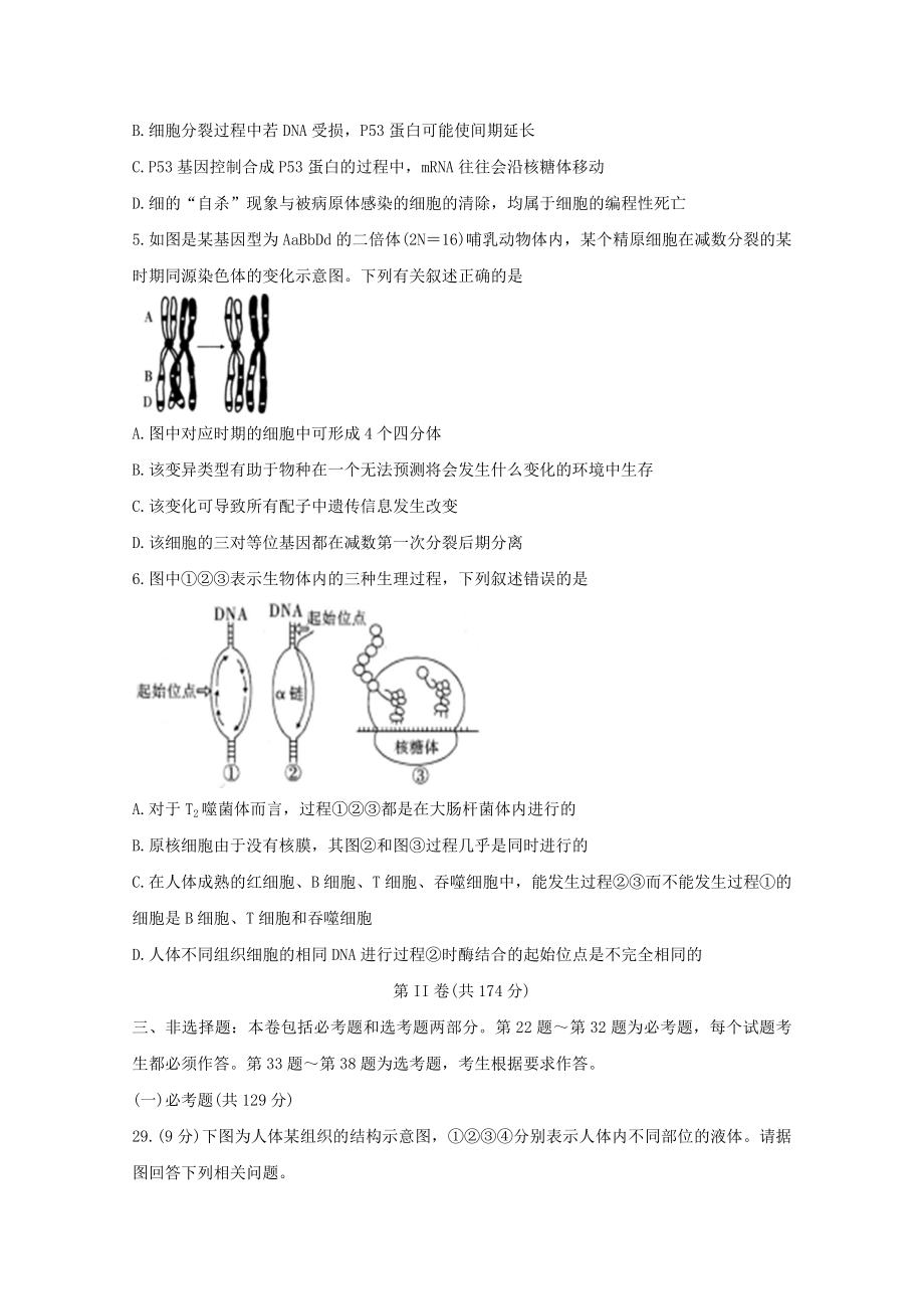 四省八校2023届高三生物上学期第二次教学质量检测考试试题.doc_第2页