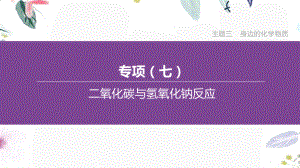 福建专版2023学年中考化学复习方案主题三身边的化学物质专项07二氧化碳与氢氧化钠反应课件2.pptx