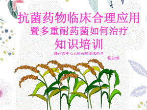 2023年ab抗菌药物临床应用的指导原则临床药学（教学课件）.ppt