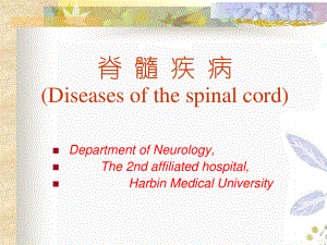 2023年Diseasesofthespinalcord（教学课件）.ppt