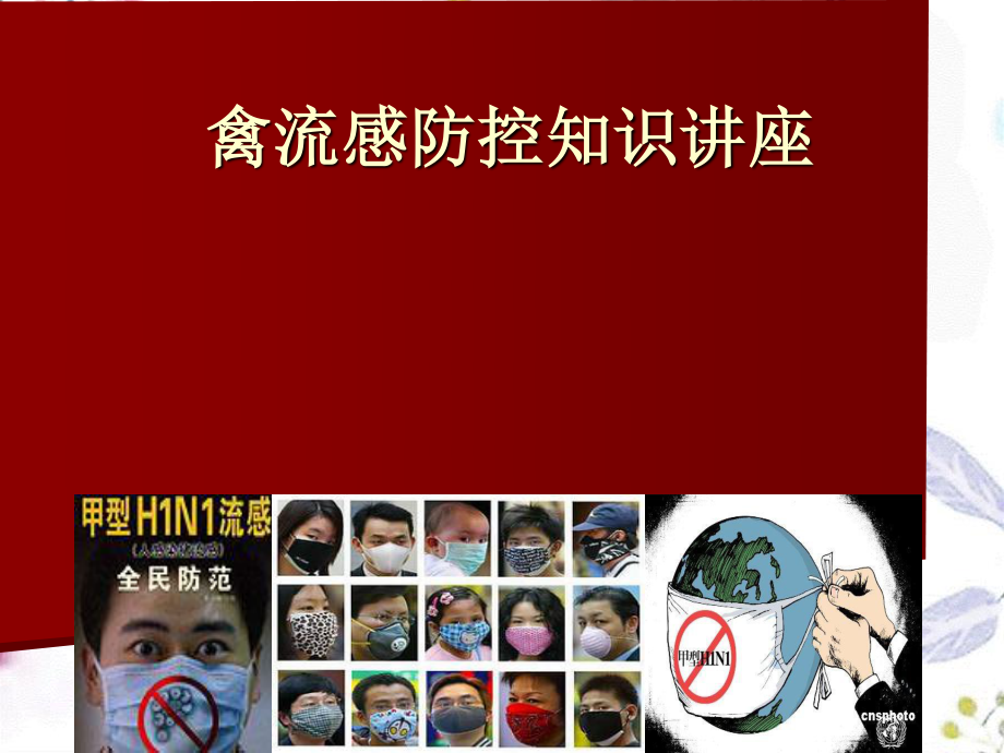 2023年HN禽流感防控知识讲座（教学课件）.ppt_第1页