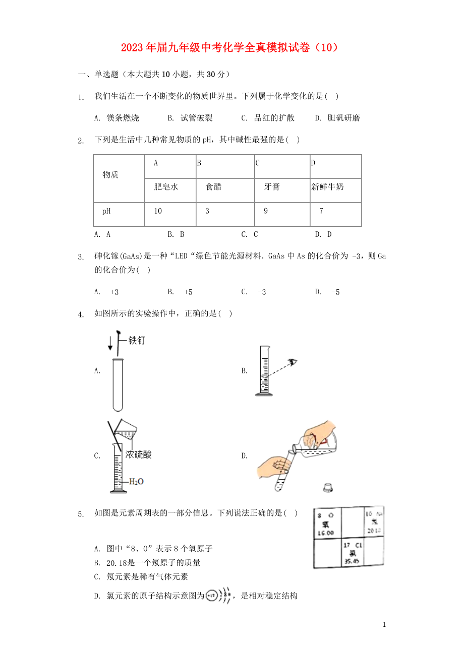 2023学年九年级化学全真模拟试卷10含解析.docx_第1页