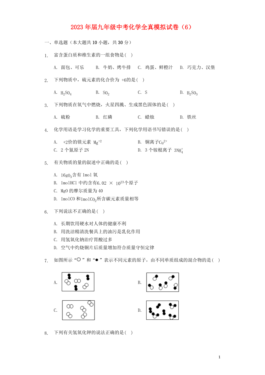 2023学年九年级化学全真模拟试卷6含解析.docx_第1页