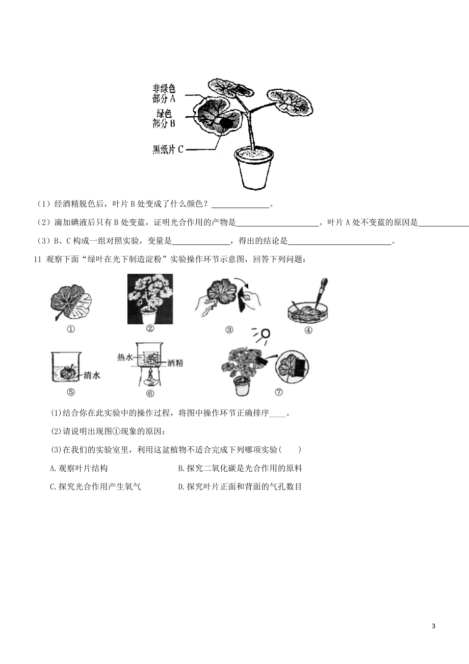 2023学年七年级生物上册第3单元生物圈中的绿色植物第6章绿色植物的光合作用和呼吸作用6.2植物光合作用的场所同步练习含解析苏教版.doc_第3页