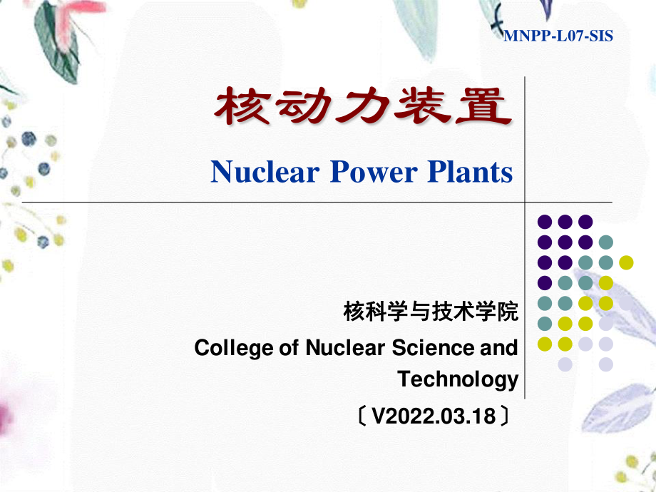 2023年MNPPCL（教学课件）.ppt_第1页