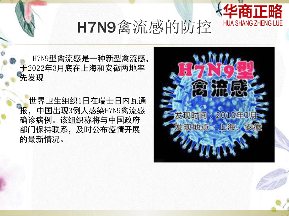 2023年HN禽流感防治PPT（教学课件）.ppt_第2页