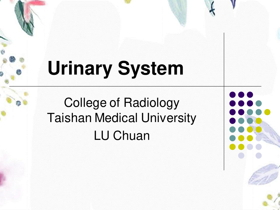 2023年Urinary System Renal cell carcinoma（教学课件）.ppt_第1页