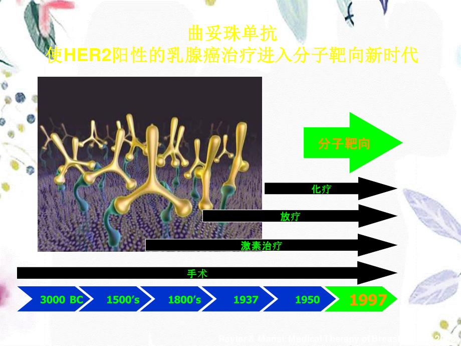 2023年HER阳性乳腺癌赫塞汀指南（教学课件）.ppt_第2页