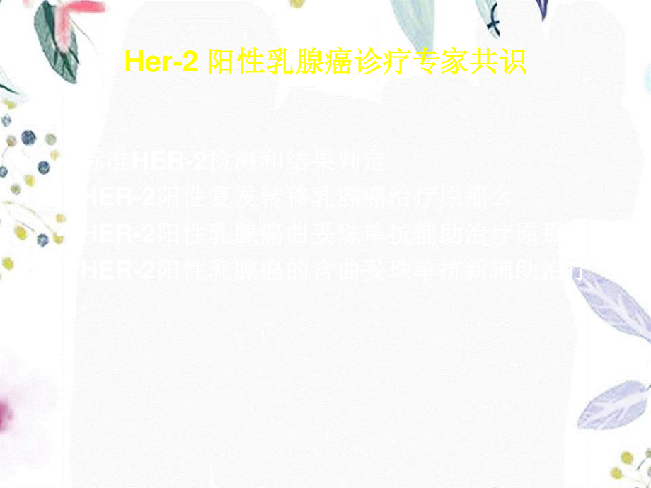 2023年HER阳性乳腺癌赫塞汀指南（教学课件）.ppt_第3页