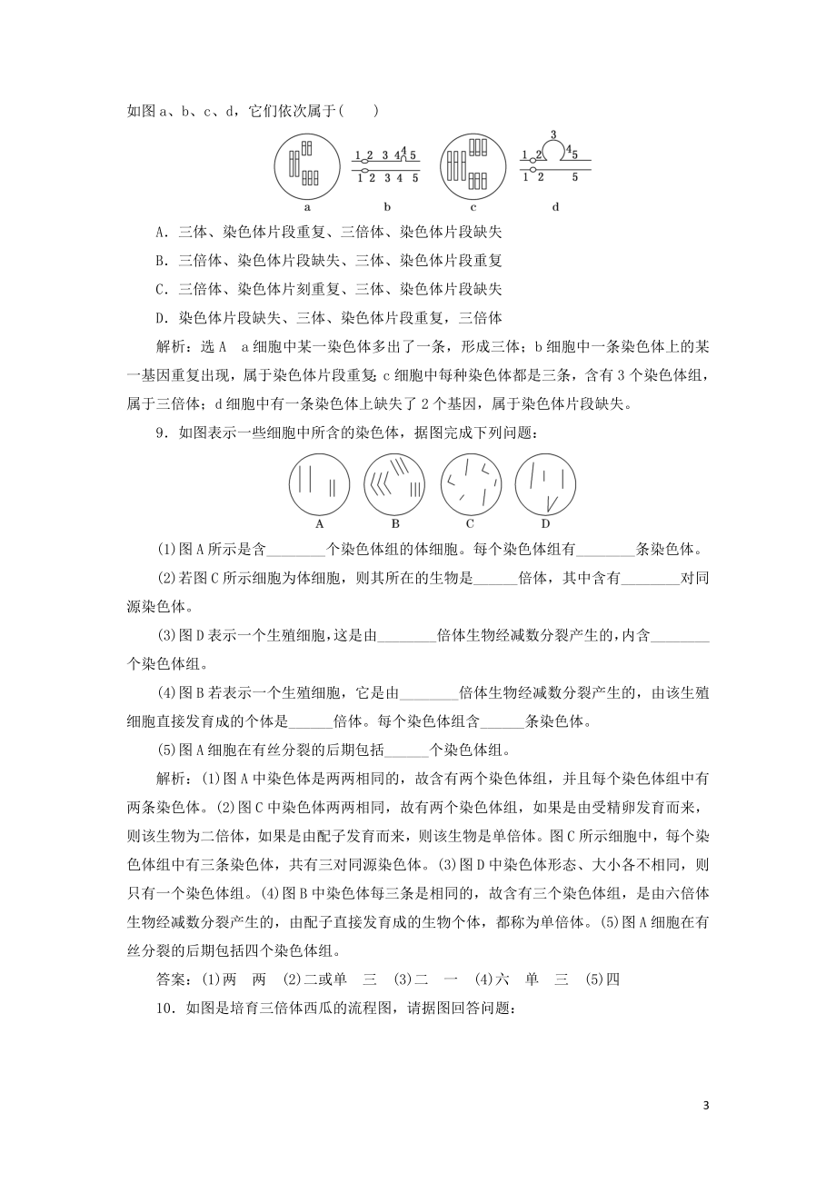 2023学年新教材高中生物课时双测过关十五染色体变异（人教版）必修2.doc_第3页