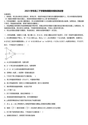 2023届湖南省长沙市麓山国际实验学校物理高二第二学期期末综合测试试题（含解析）.doc