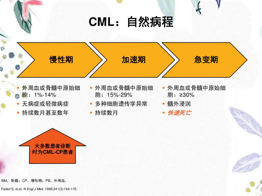 2023年CML治疗的回顾与展望（教学课件）.ppt_第3页