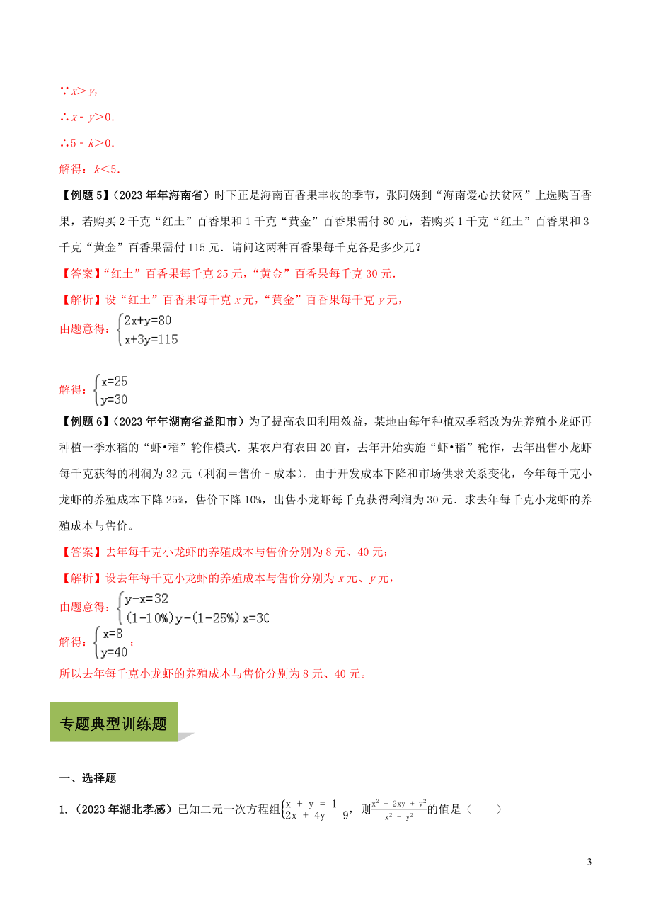 2023学年中考数学必考考点专题7二元一次方程组及其应用含解析.docx_第3页