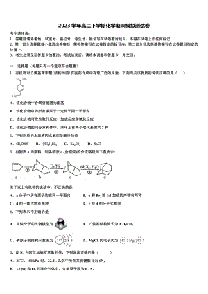 2023届天津市塘沽一中化学高二第二学期期末统考模拟试题（含解析）.doc