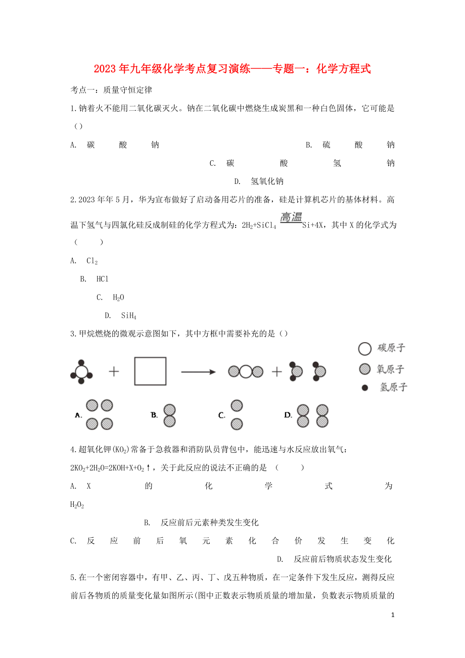 2023学年九年级化学考点复习演练专题一化学方程式试题.doc_第1页