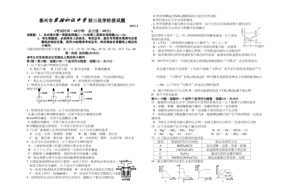 2023年3月泰兴市实验初中初三化学阶段试卷.docx_第1页