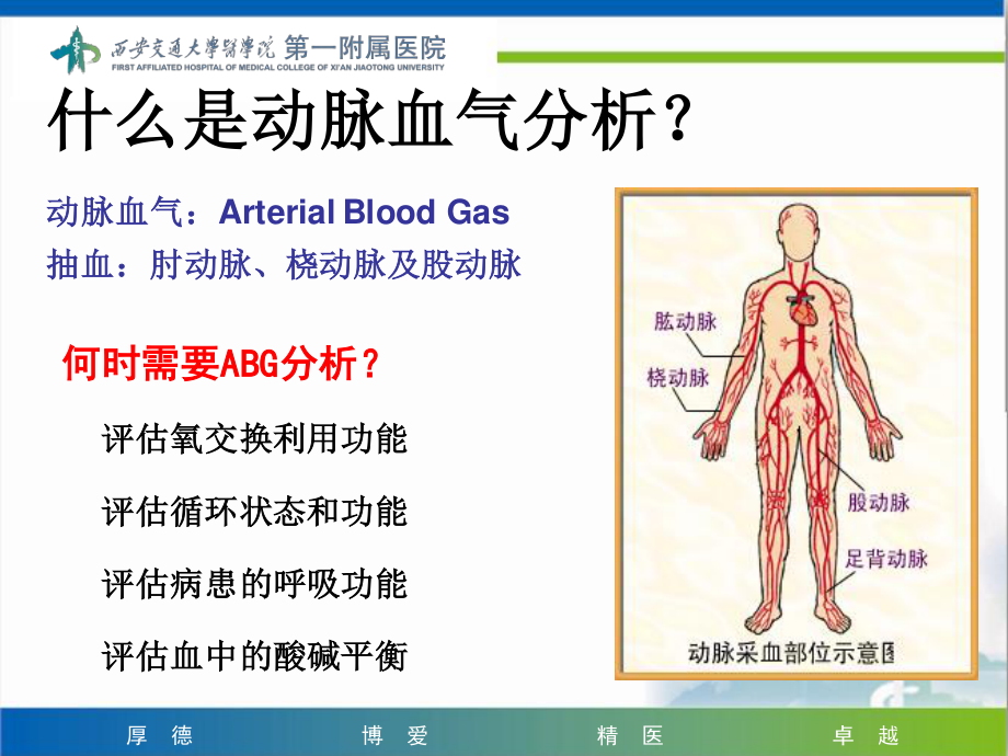 2023年ABG（教学课件）.ppt_第3页