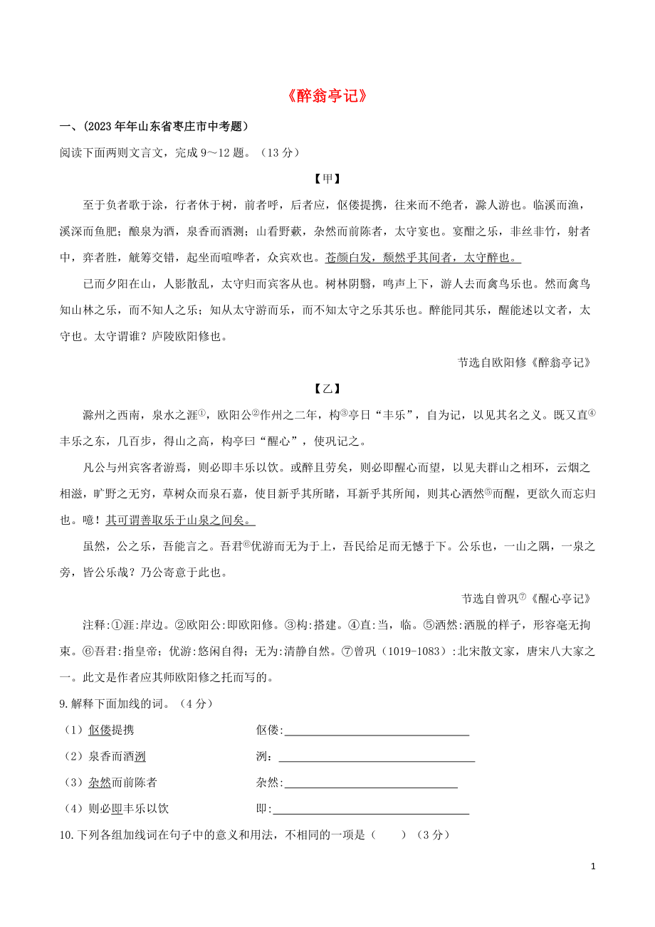 2023学年九年级语文文言文专题02醉翁亭记真题训练（人教版）.docx_第1页