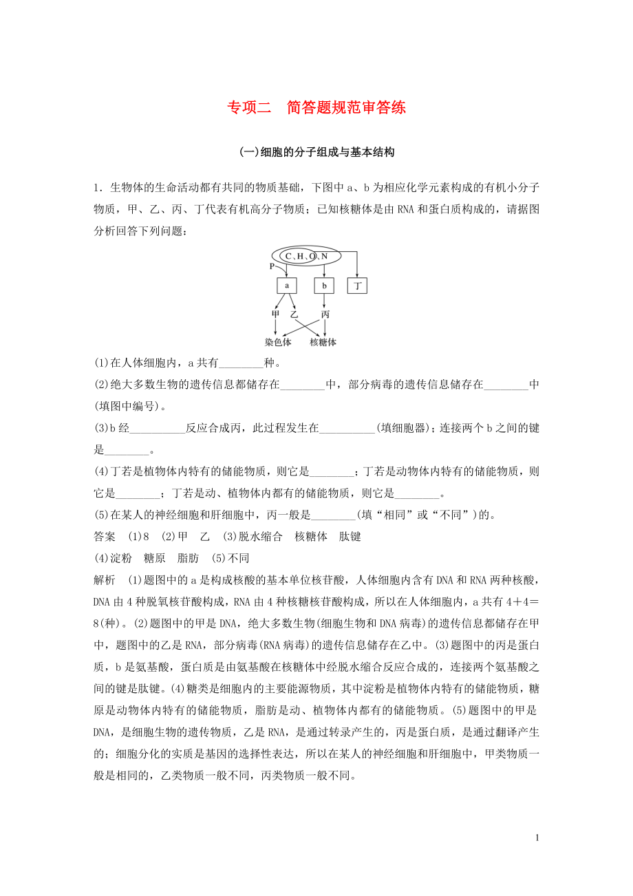 2023学年年高考生物三轮冲刺抢分专项练专项二简答题规范审答练一细胞的分子组成与基本结构含解析.docx_第1页