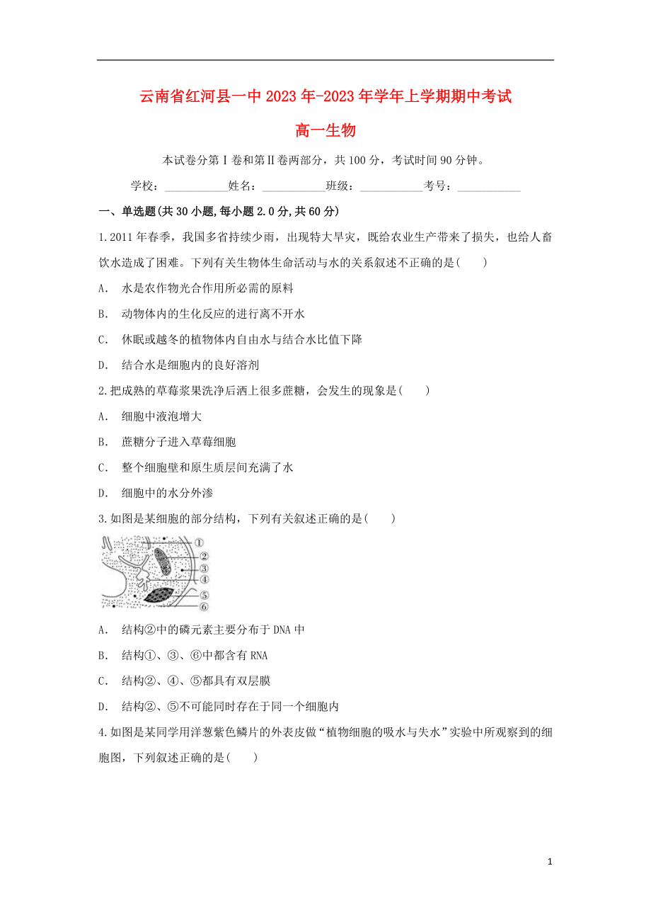 云南省红河县一中2023学年高一生物上学期期中试题.doc_第1页