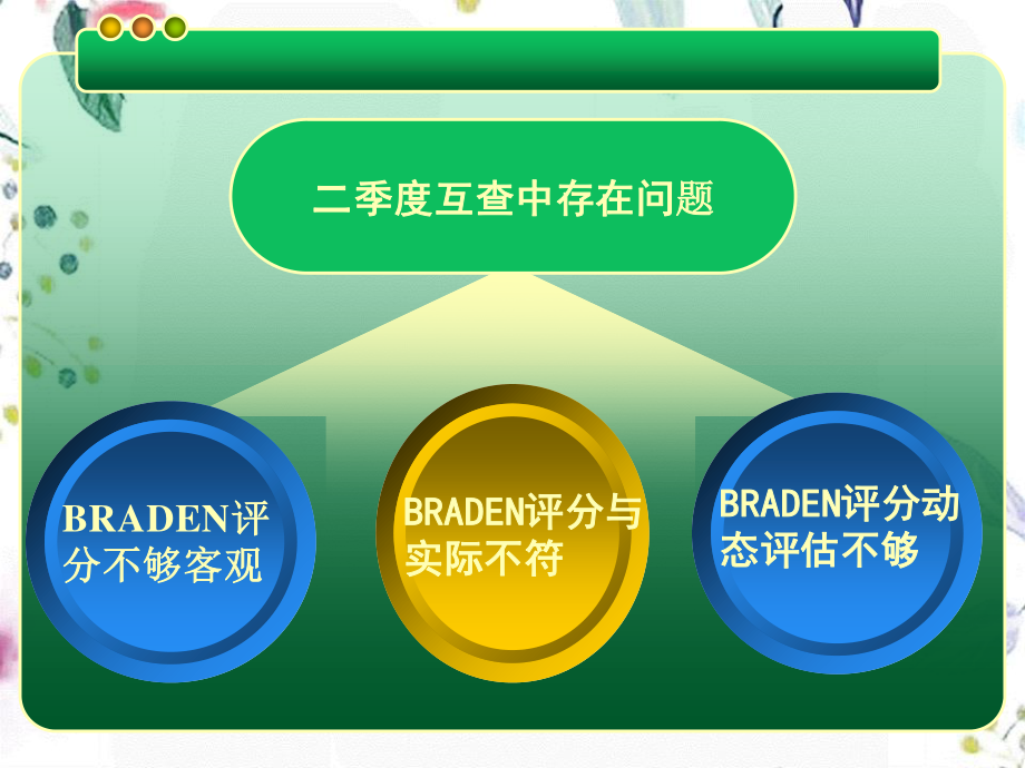 2023年Braden评分表幻灯（教学课件）.ppt_第3页