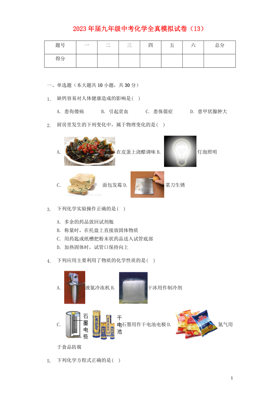 2023学年九年级化学全真模拟试卷13含解析.docx_第1页