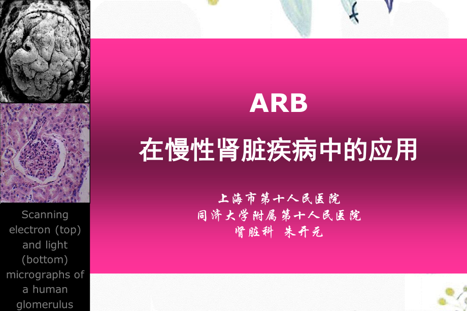 2023年CMEARB在肾病治疗中的应用（教学课件）.ppt_第1页