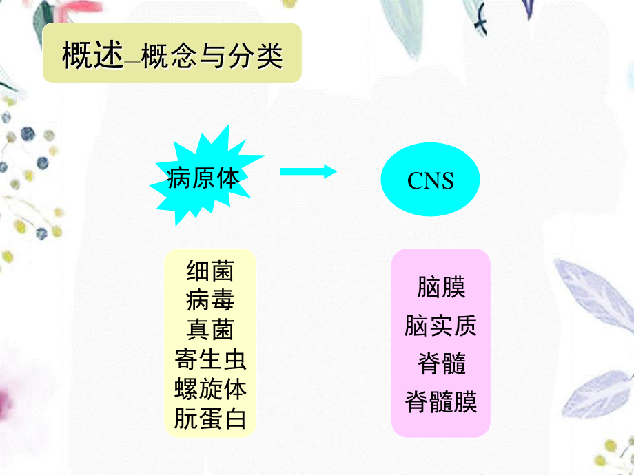 2023年CNS感染ppt（教学课件）.ppt_第3页